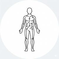 Daily Recovery Support