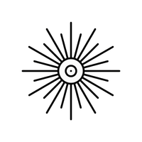 Vitality & Long-Term Wellness